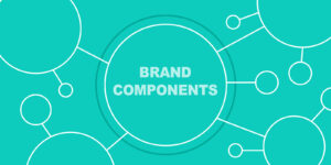 Brand components circles and lines graphic
