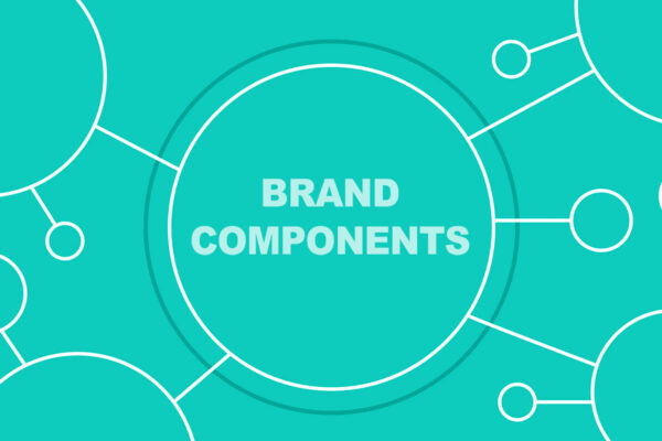 Brand components circles and lines graphic