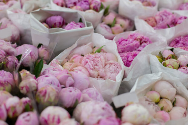 bunches of fresh flowers