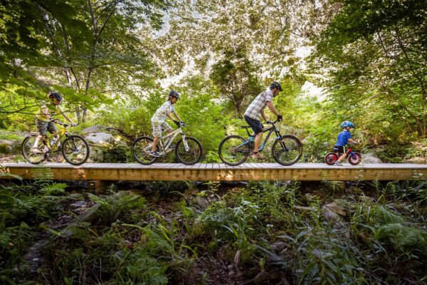 family mountain biking on a trail in the woods