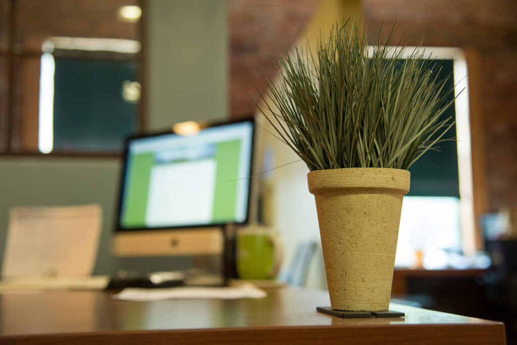 closeup of a plant on a desk in the current office of stride creative group